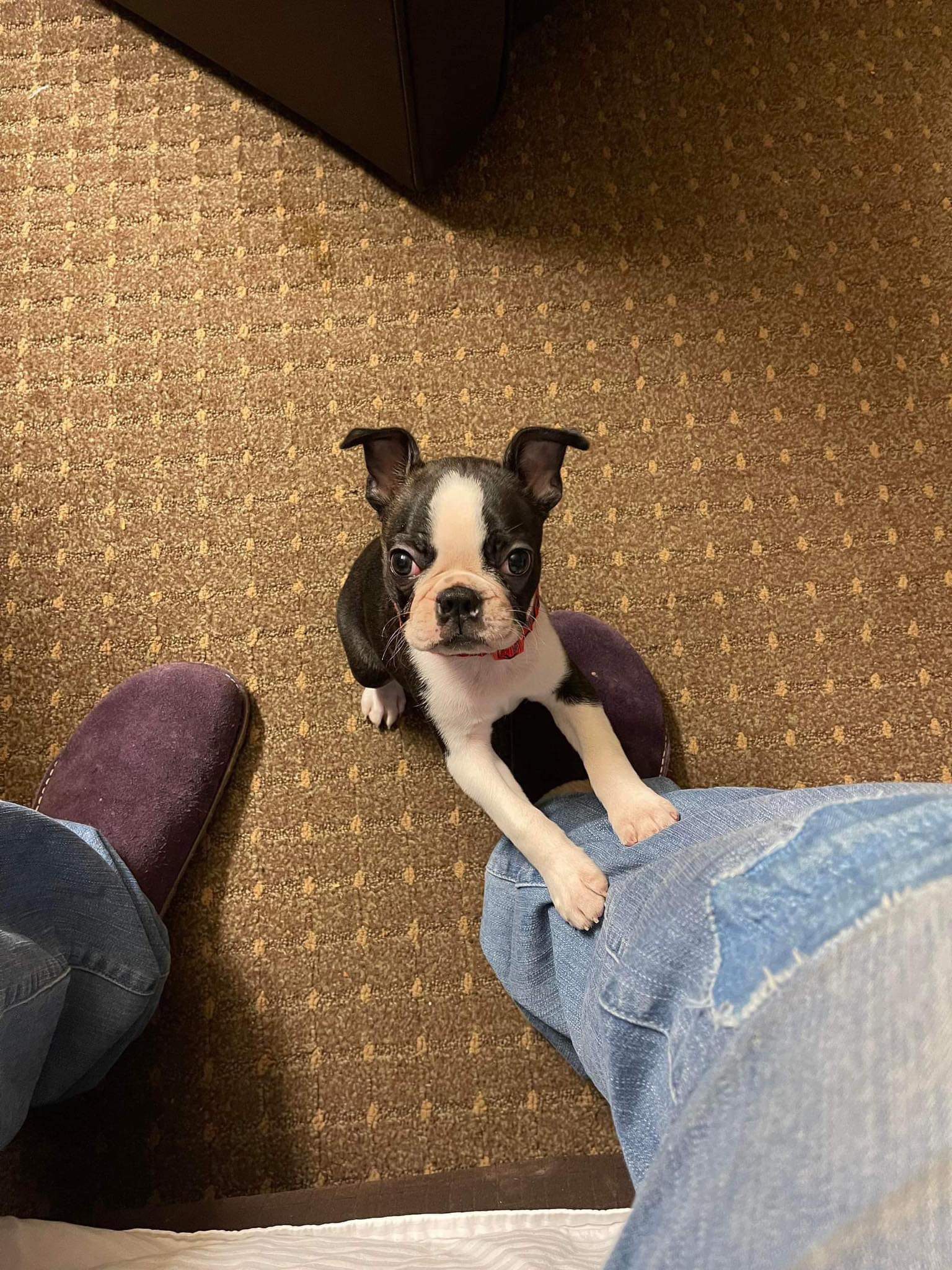 Bailey