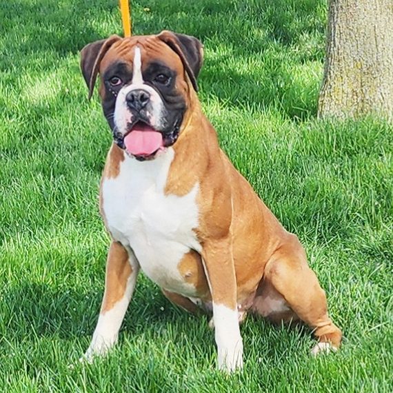 Duke
