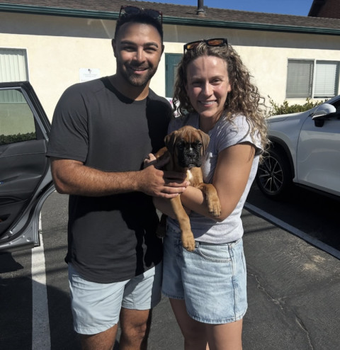 Priya Sharma's puppy